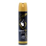 SPRAY SPLENDOR LACCA CU ULEI DE ARGAN EFECT LUMINATOR 300ML